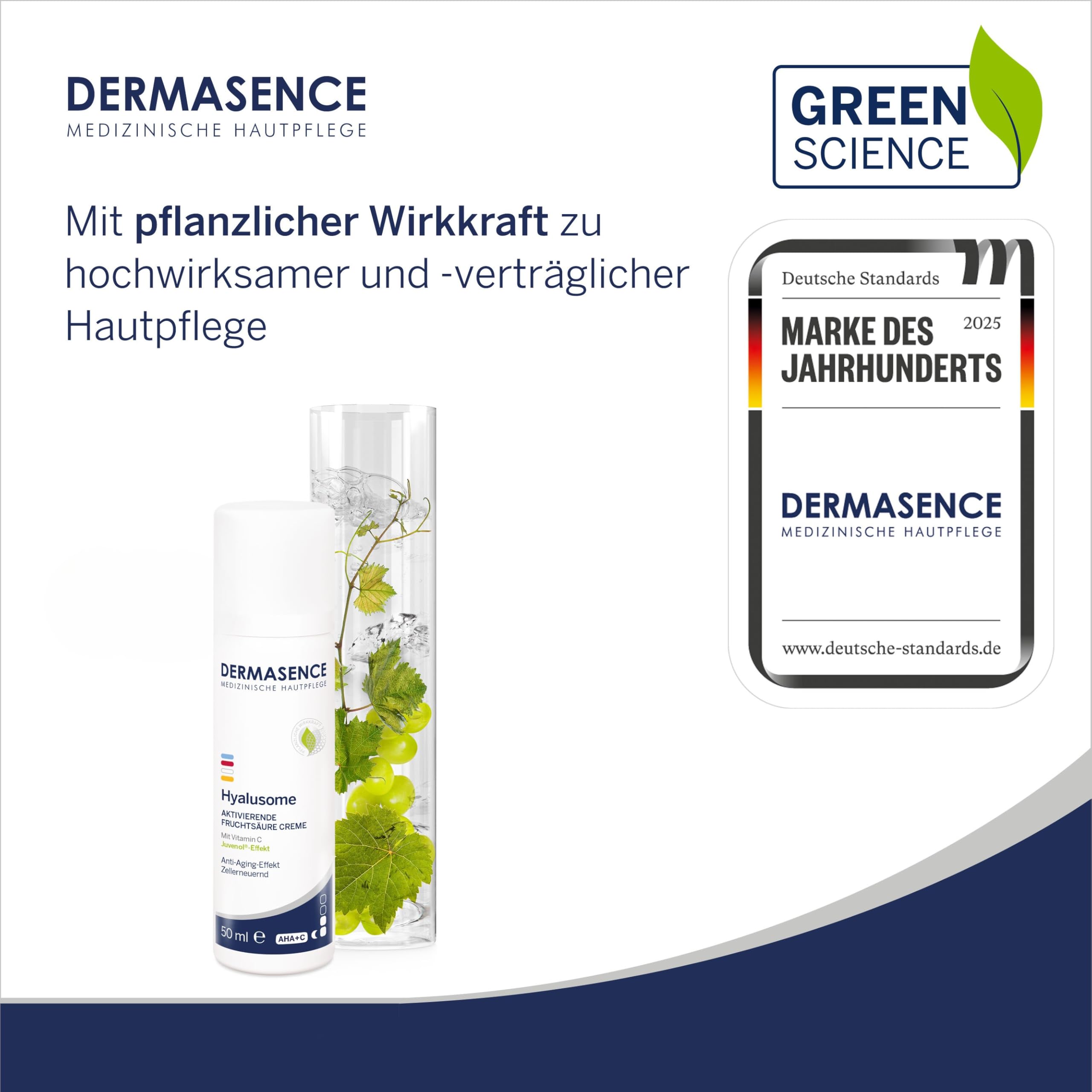 dermasence-hyalusome-fruchts-ure-creme-50-ml-mit-glycols-ure image 2