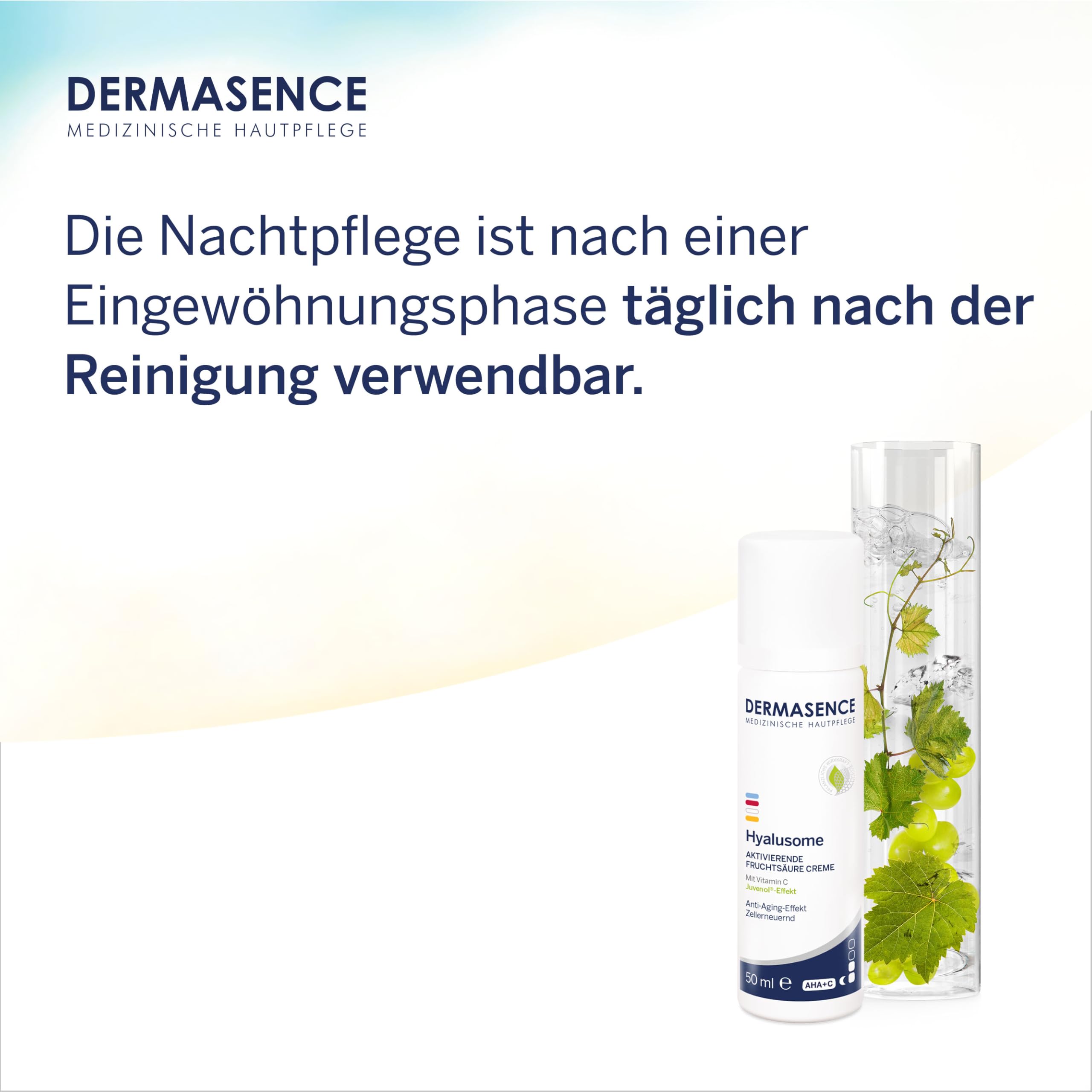 dermasence-hyalusome-fruchts-ure-creme-50-ml-mit-glycols-ure image 5