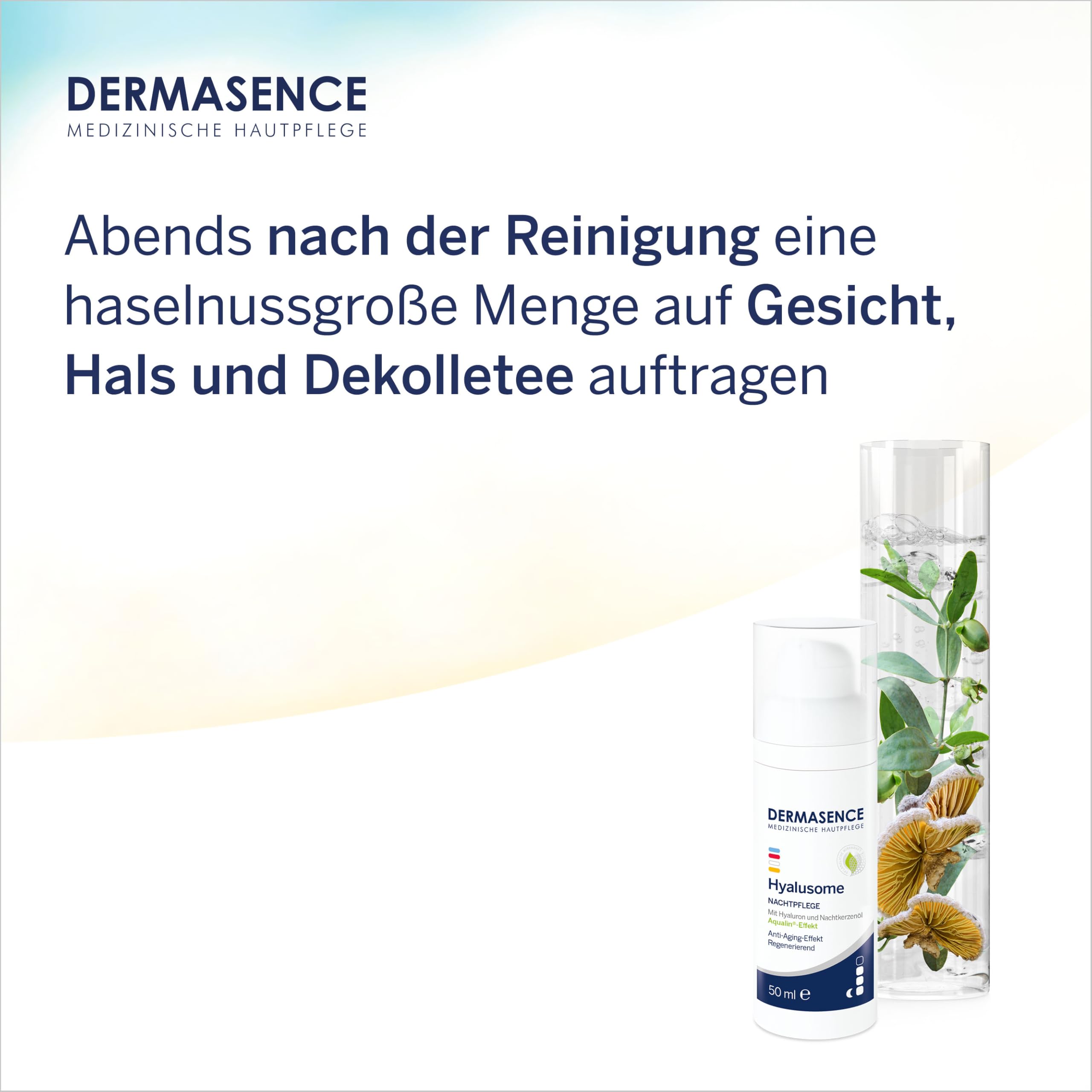dermasence-hyalusome-nachtpflege-50-ml-mit-hyaluron image 5