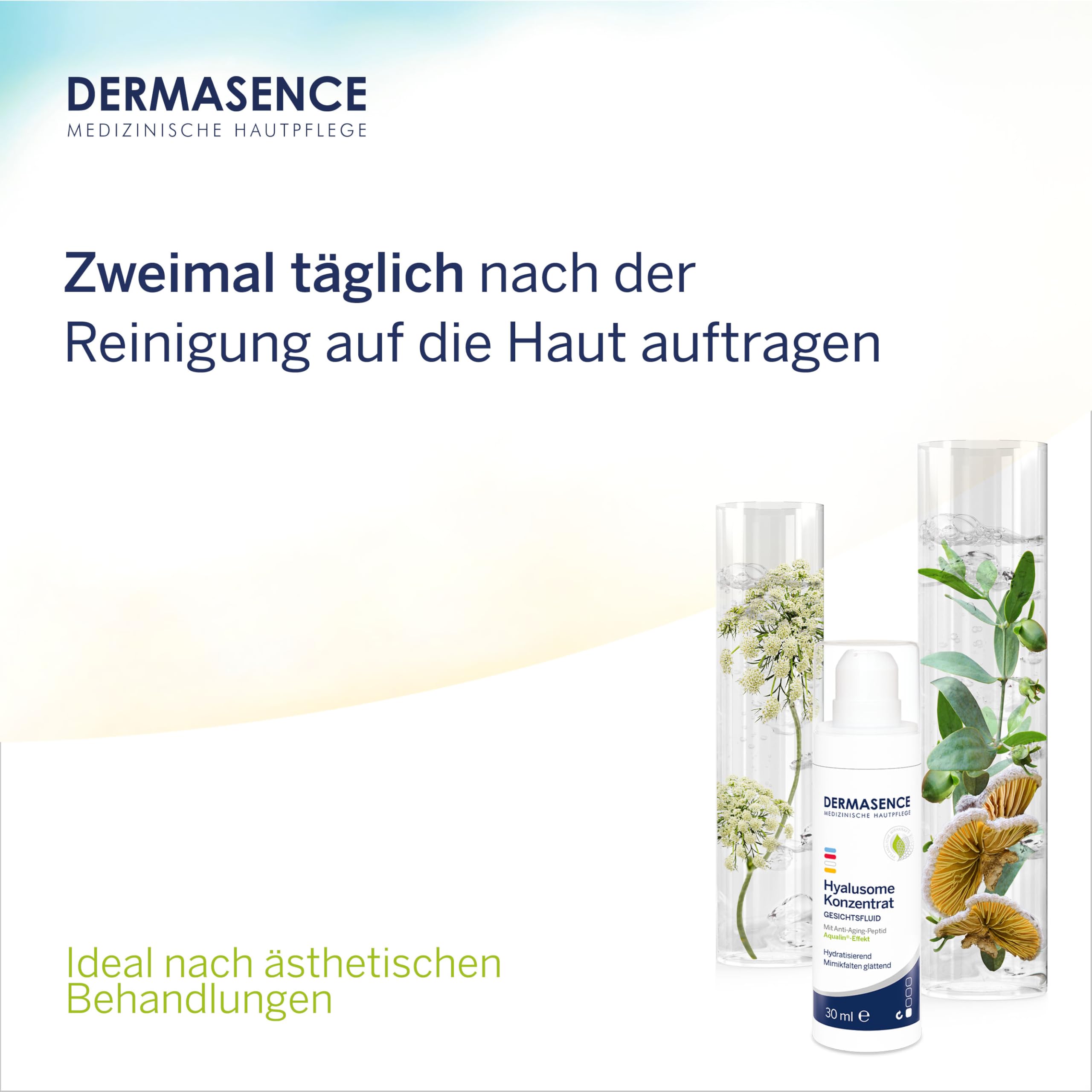 dermasence-hyalusome-konzentrat-30-ml-anti-aging-serum image 5